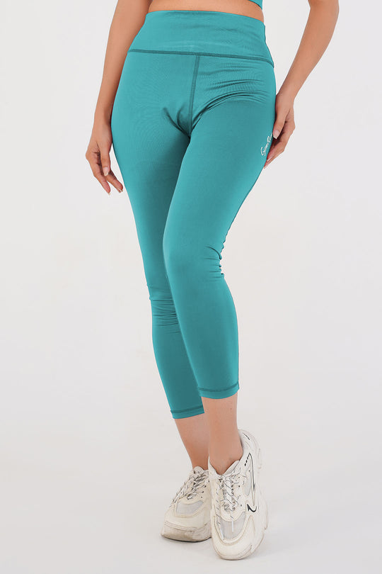 Ladies Basic Performance Leggings - Dusty Fern